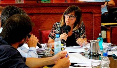 �Este presupuesto no aporta soluciones a nuestra ciudad�