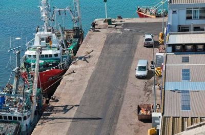 Nación destacó que el puerto marplatense descargó 30.000 toneladas más que el año pasado