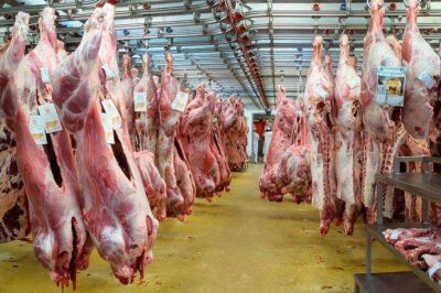 Impulsados por la carne, alimentos subieron 2,1% en lo que va de diciembre