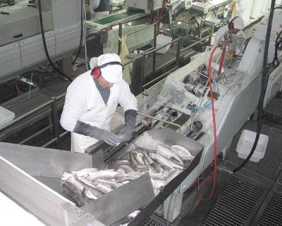 El STIA critic� a Aguilar y su proyecto de ley de Pesca
