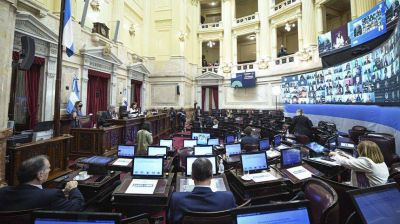 El Senado buscar� emitir dictamen al proyecto de legalizaci�n del aborto