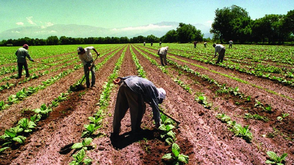 El sindicato de los trabajadores rurales reclam un bono de fin de ao de $15.000