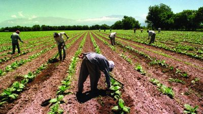 El sindicato de los trabajadores rurales reclam� un bono de fin de a�o de $15.000