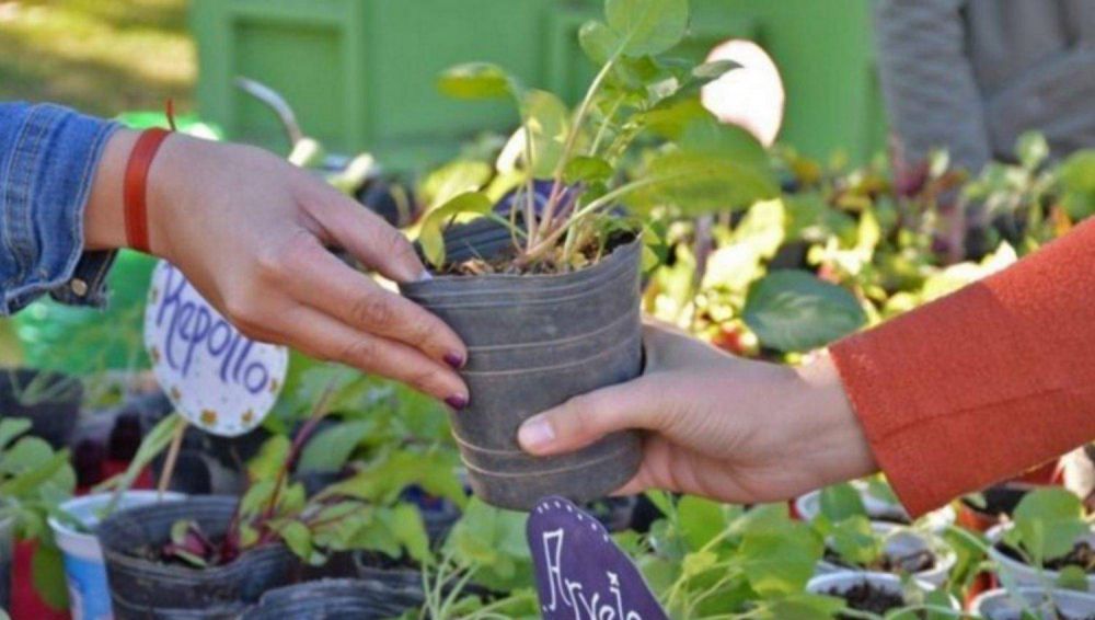 Vuelve el Eco-Canje y cambian residuos reciclables por plantines y bolsas verdes