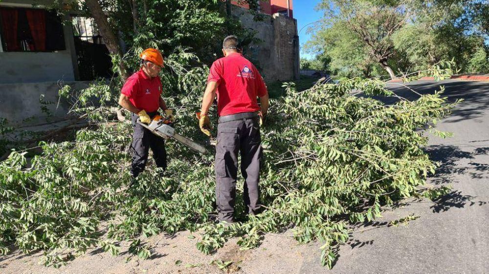 Los barrios de Crdoba con cortes de luz tras el temporal