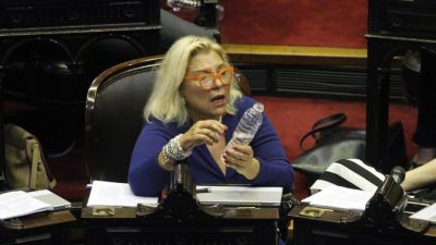 Carri� confirm� que competir� en la provincia de Buenos Aires