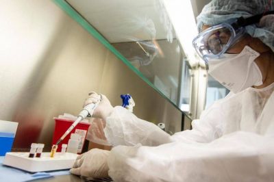 Qu� se sabe y qu� no de la nueva variante del coronavirus