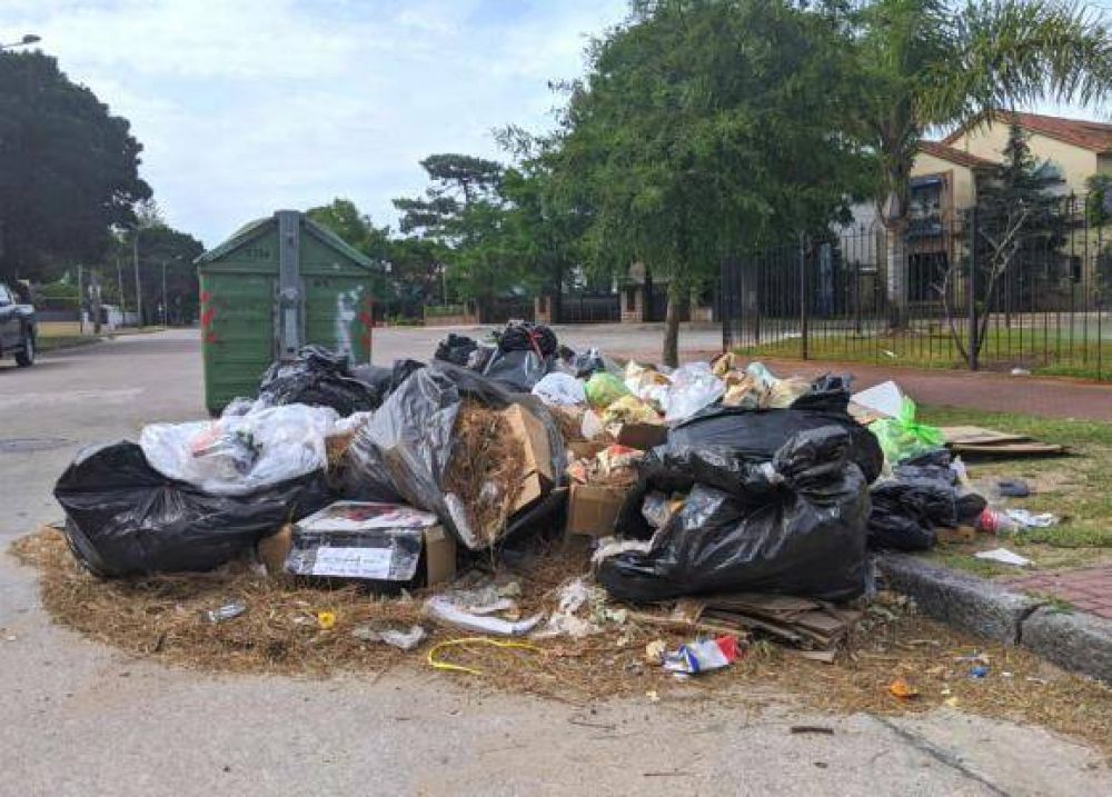 Residuos en Montevideo: Se est levantando la basura, pero an falta, dice Adeom