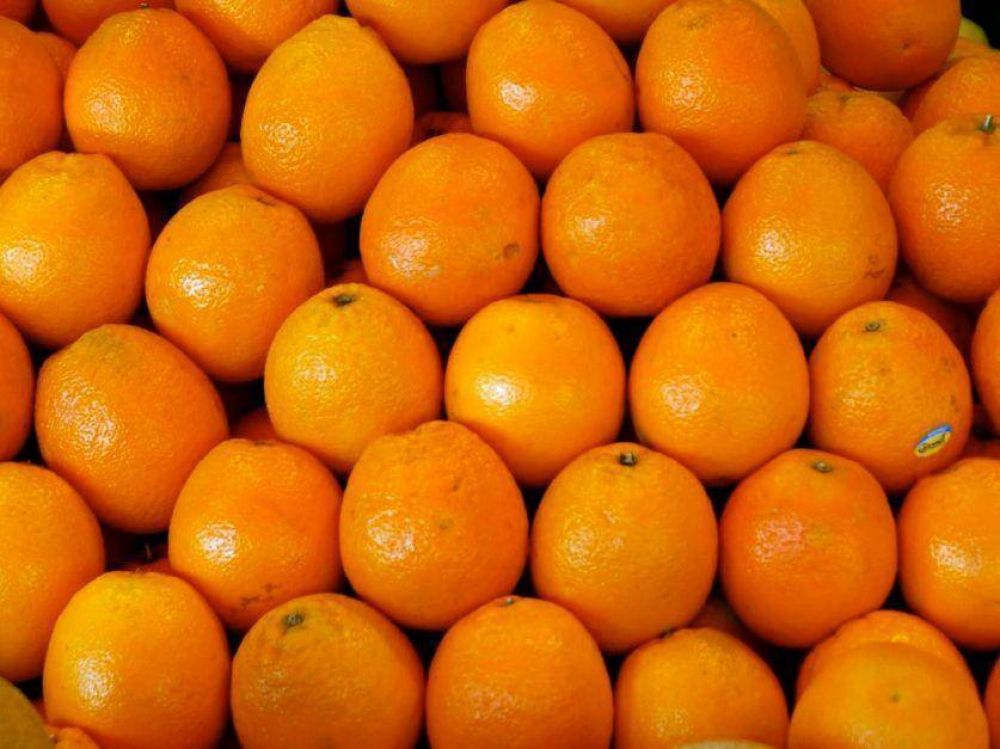 Naranja : la exportacin de jugo es la ms alta en 11 aos