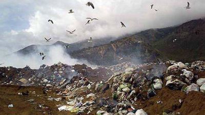 Se durmi� en un contenedor de basura y muri� aplastado por el cami�n compactador