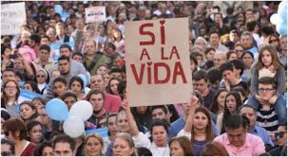 Cevilaf: La respuesta siempre es cuidar la vida, toda vida y las dos vidas