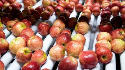 Cu�les son los productos que dejar�n de pagar retenciones a las exportaciones a partir de 2021