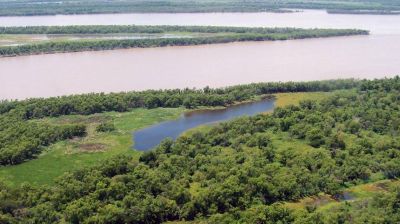Santa Fe suma 2.600 hectáreas protegidas del Delta del Paraná
