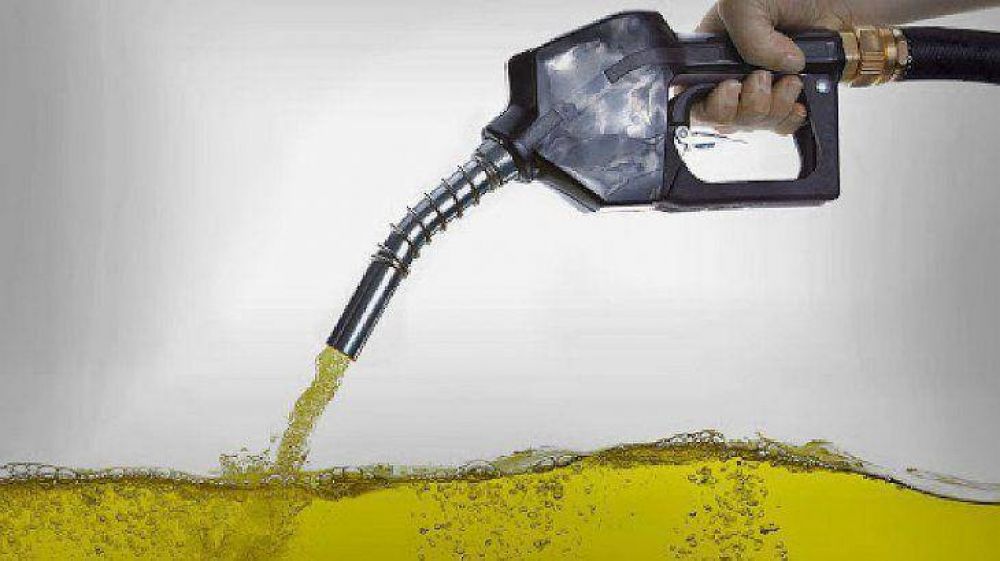 Biocombustibles: habr aumentos escalonados hasta llegar a 90% en mayo