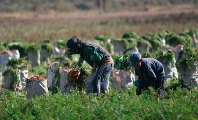 Procesaron a los directivos de una empresa dedicada a la producci�n de frutos rojos por explotar a 150 personas