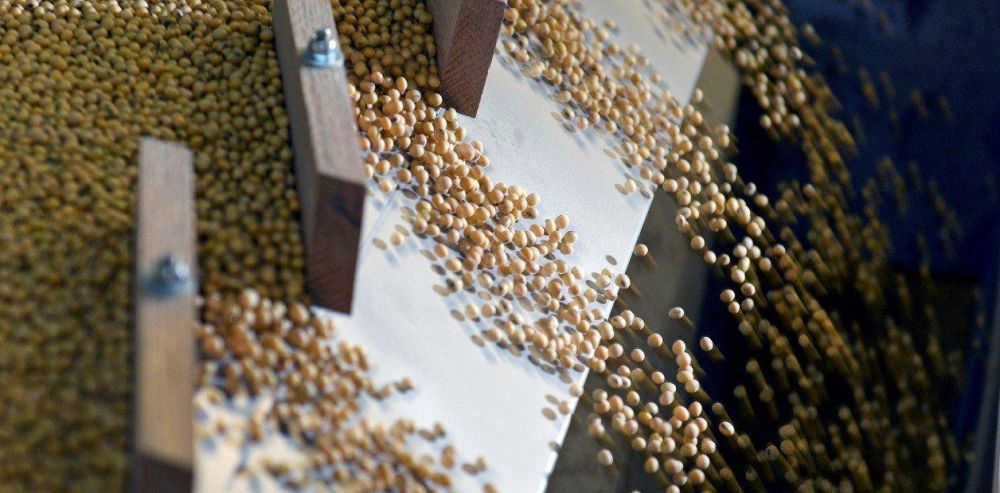 El precio de la soja toc los US$ 500 y las exportaciones argentinas podran superar los 21.000 millones de dlares
