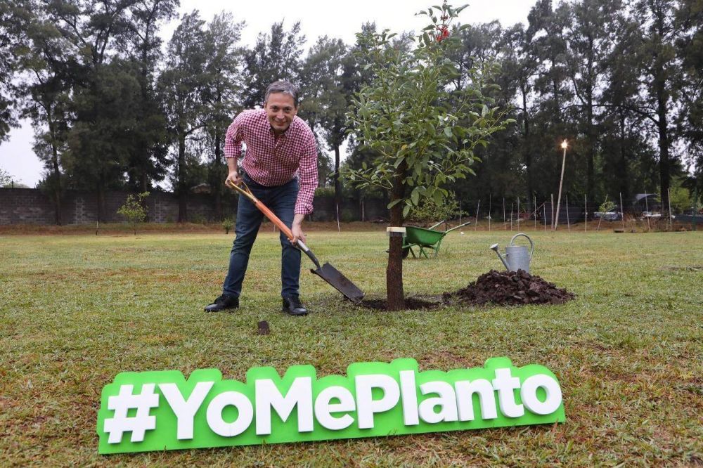 Fernando Gray lanz programa de forestacin 