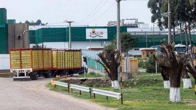 Granja Tres Arroyos responsabilizó a los trabajadores por la baja producción