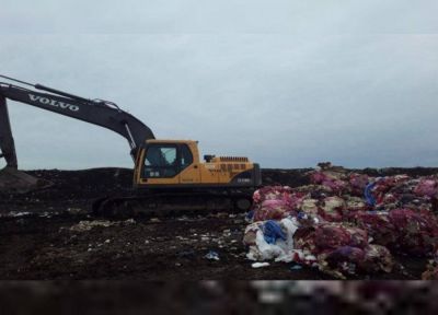 Horror en Mar del Plata: encontraron 9 fetos en descomposici�n en un basural