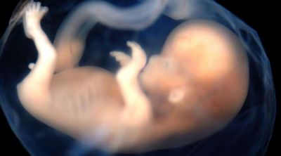 Cardenal Dolan: Aborto ser� un tema crucial para cat�licos tambi�n ante gobierno de Biden
