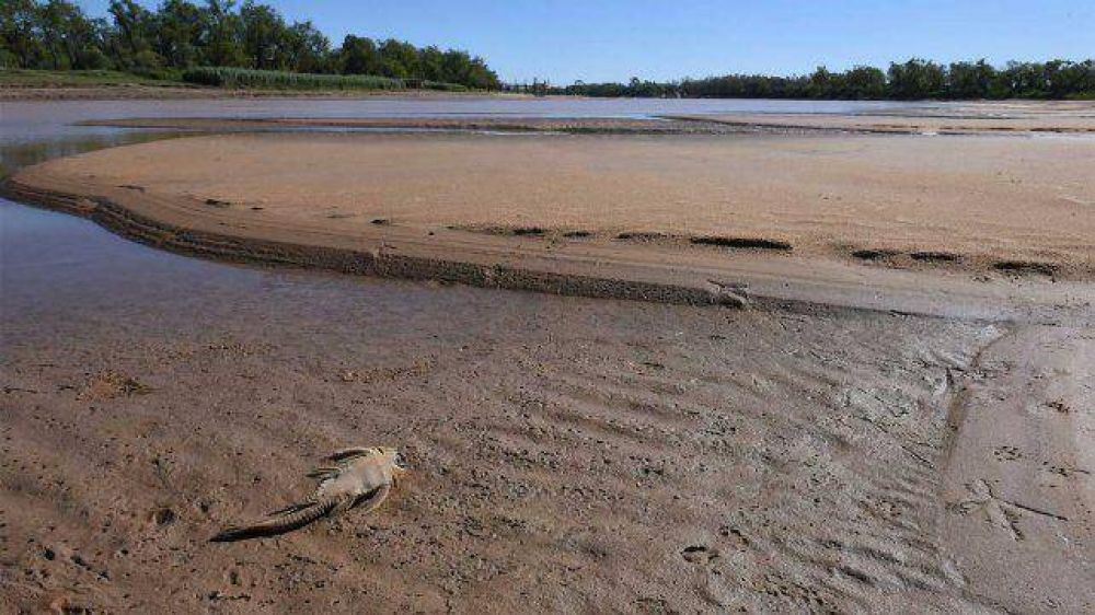Medio ambiente: proteger y vigilar los humedales, esa es la cuestin en el Delta del Paran
