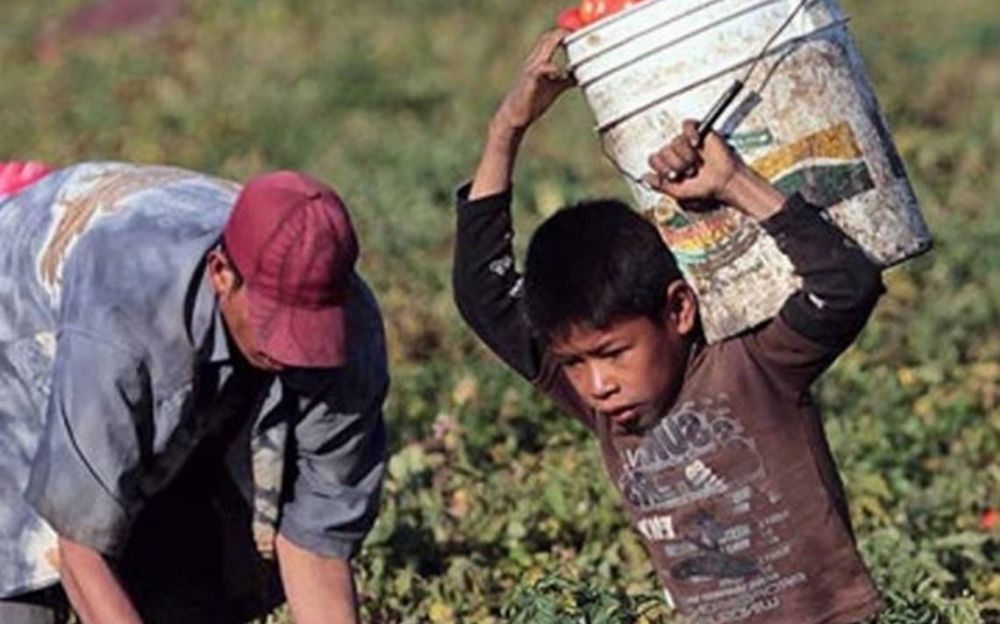 Segn datos de la OIT, el trabajo infantil todava afecta a 152 millones de nios en el mundo