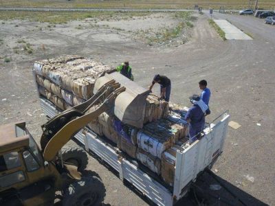 M�s de 20.000 kilos de cart�n partieron desde Viedma para su reciclado