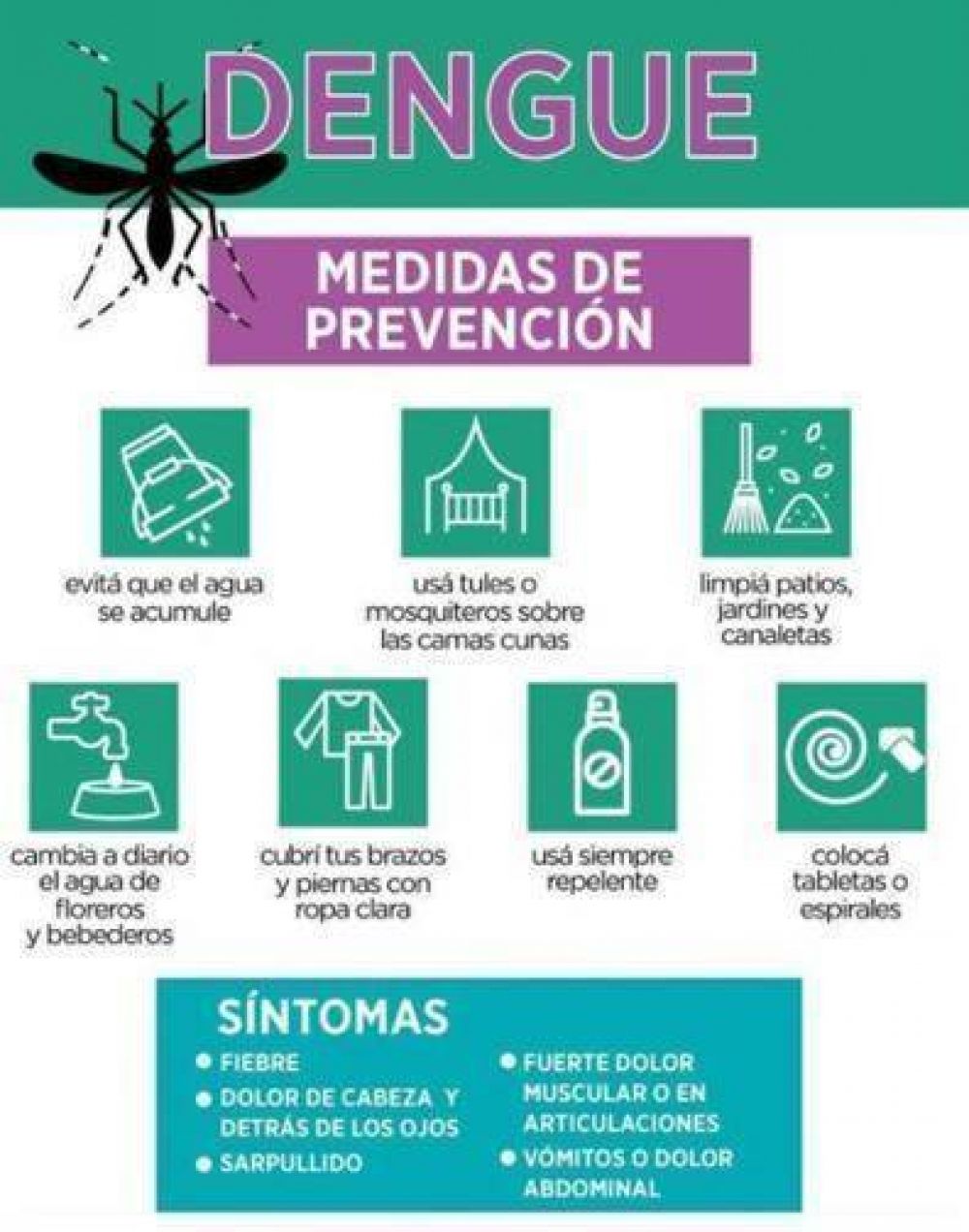 El STIA PBA llama a prevenir el dengue