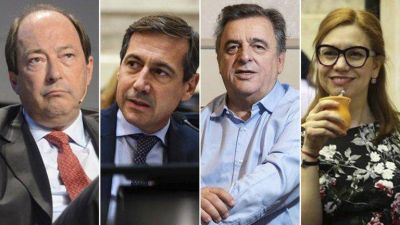 Un sector de la UCR pidi� que los partidos pol�ticos se alejen de �las dos minor�as intensas y movilizadas�