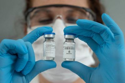 Varela contra el coronavirus: comunidad cient�fica mundial destaca la eficacia del suero de caballos