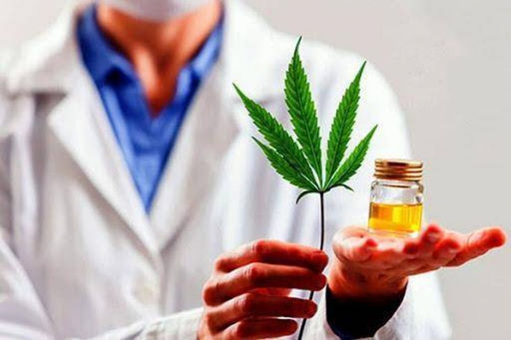 El INTA Pergamino y una empresa privada comenzarn a producir cannabis medicinal
