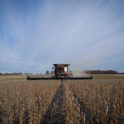Retenciones: c�mo funciona la exportaci�n de alimentos en el mundo