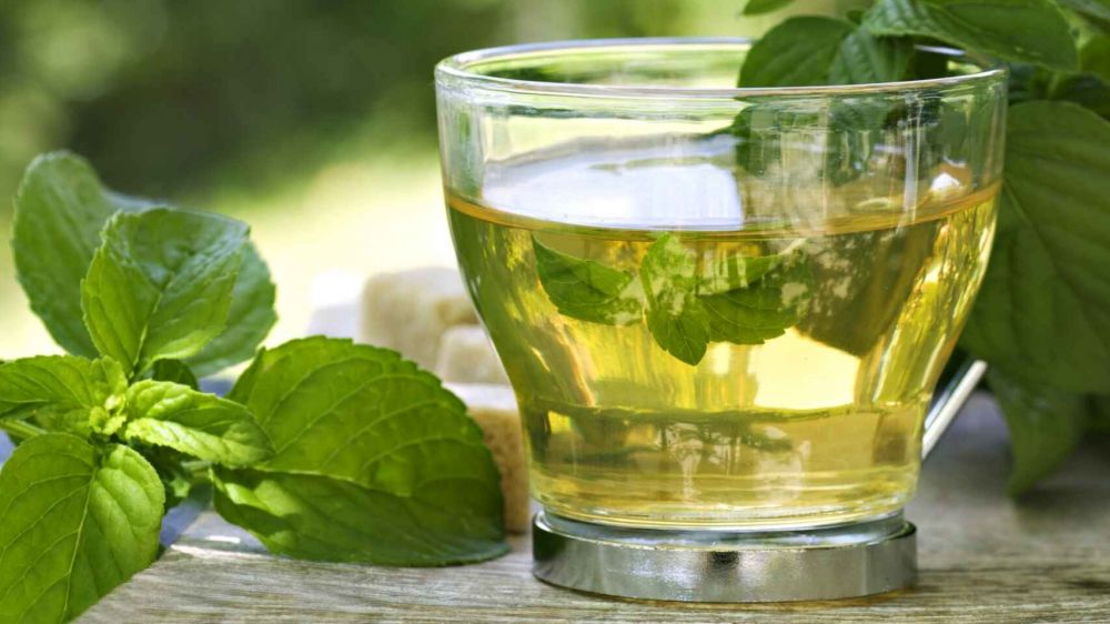T verde: todas las propiedades, beneficios y mitos del elixir antioxidante