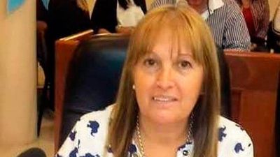 Tras los incidentes, Biscaldi aclar� que �la violencia no soluciona nada�