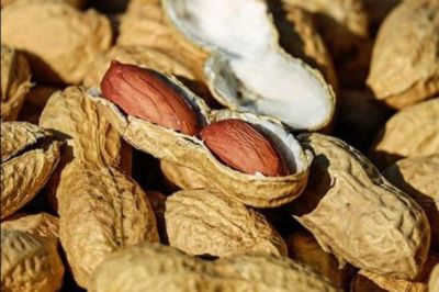 C�rdoba alcanza un r�cord hist�rico en las exportaciones del man�