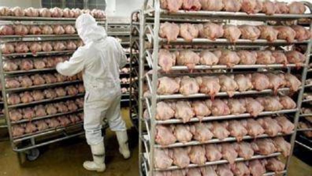 La FTIA cerr la paritaria de procesamiento de aves con una mejora salarial total del 41,4%