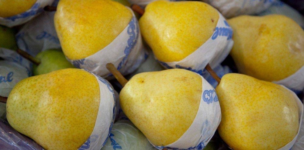 Los exportadores de frutas advierten que un conflicto gremial en el Senasa genera graves prdidas