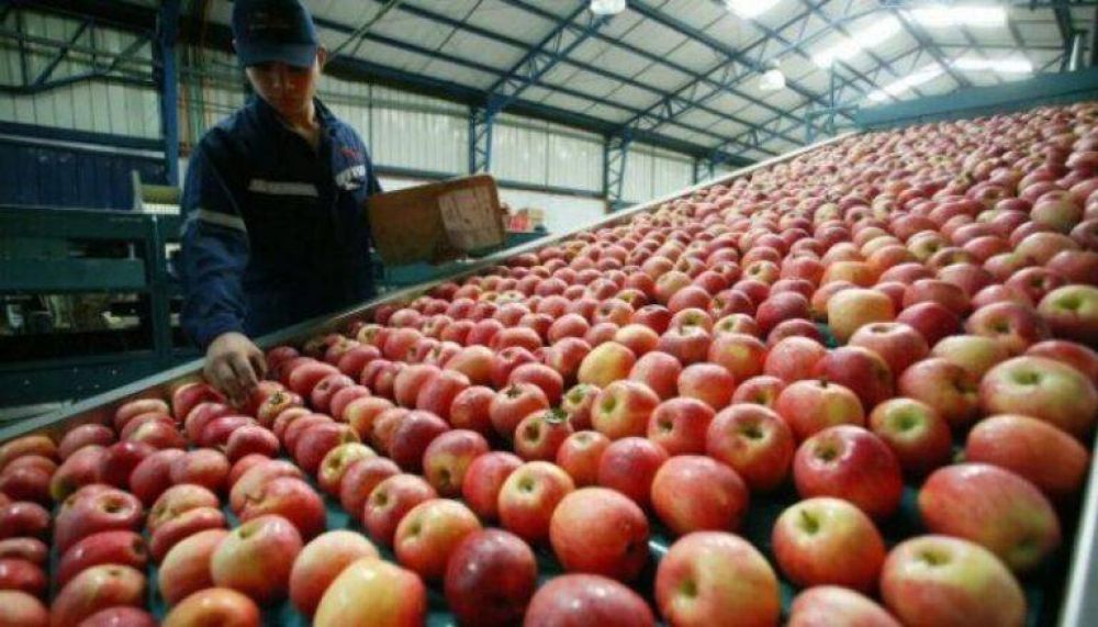 Se incrementaron las exportaciones de manzanas y peras en 2020