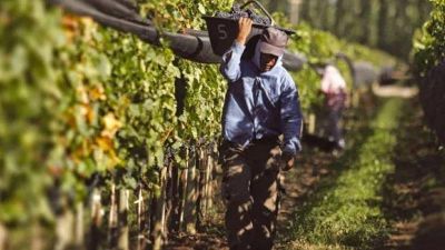 Para UATRE la mejora salarial es prioridad en las actividades rurales