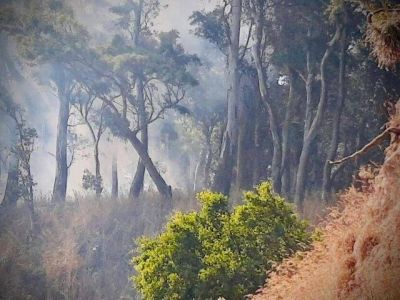 El Municipio pide tomar los recaudos necesarios para evitar incendiosEl Municipio pide tomar los recaudos necesarios para evitar incendios