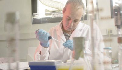 Cient�ficos de la UNLP crearon un insecticida que cuida el medio ambiente