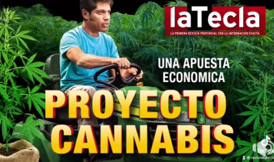 Kicillof suea con el bronce a travs del Proyecto Cannabis