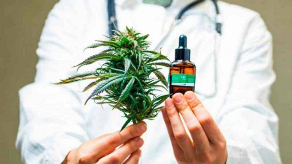 Mendoza es pionera en reglamentar el cultivo de cannabis para uso medicinal