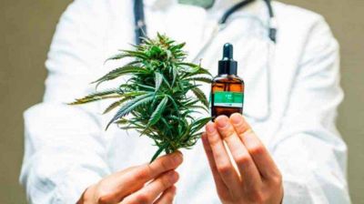 Mendoza es pionera en reglamentar el cultivo de cannabis para uso medicinal