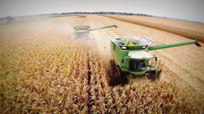 Ley agroindustrial: los cuatro puntos clave que discuten campo y Gobierno