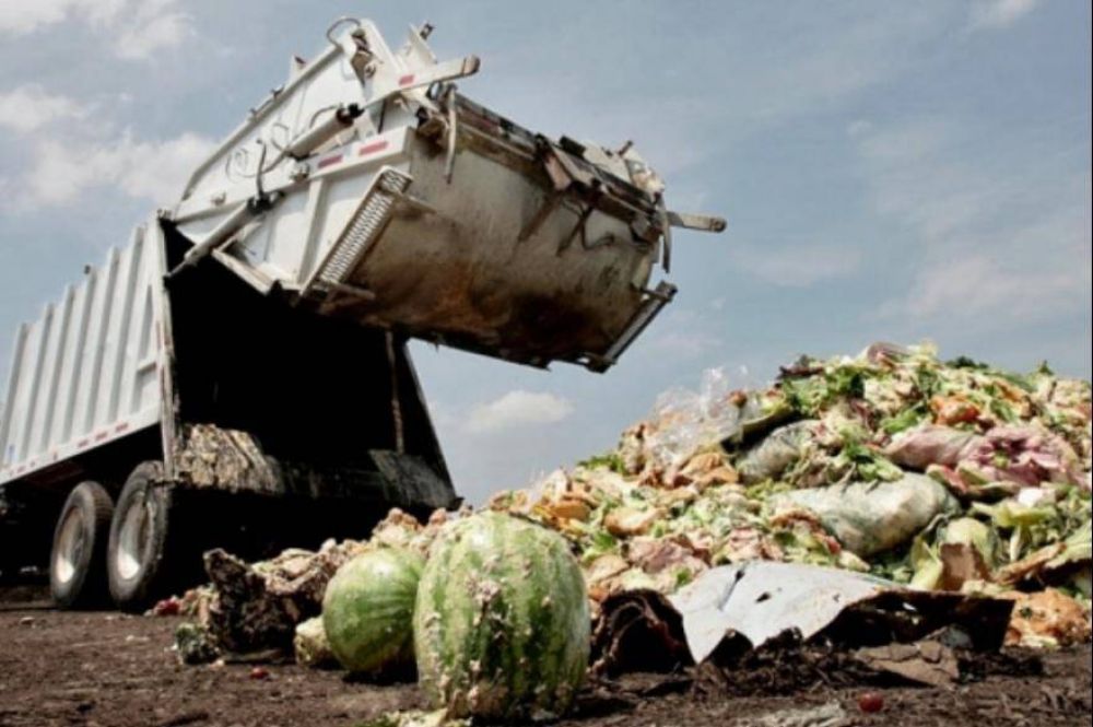 Se desperdicia 17% de todos los alimentos disponibles a nivel del consumidor