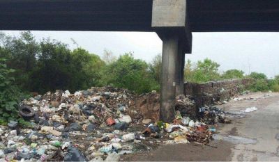 Abogado ambiental: 