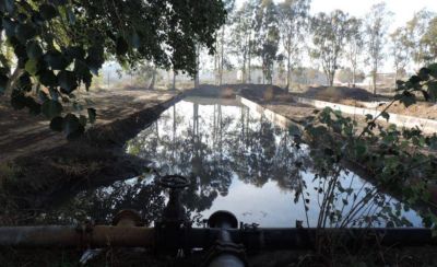 Ambiente contin�a controlando los residuos provenientes de la industria pesquera
