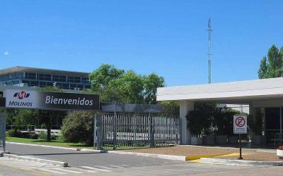 Molinos cerr� el 2020 con n�meros positivos por venta de oficinas
