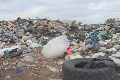 El proyecto del Basural costar� 10 millones de d�lares
